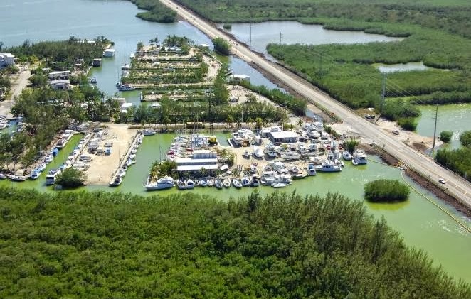 Manatee Bay Marine Inc. in Key Largo, FL